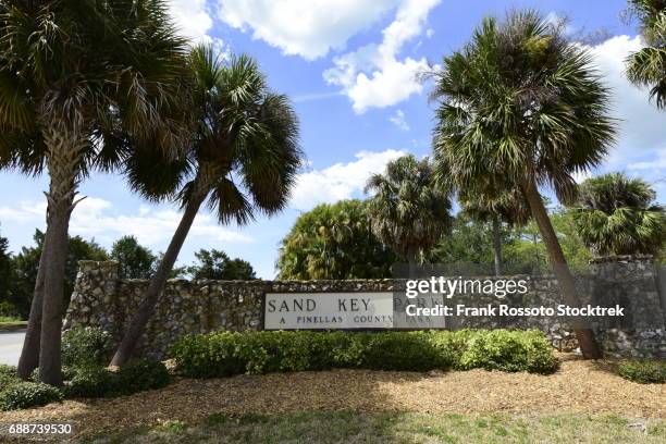 Sand Key Park Florida Photos and Premium High Res Pictures - Getty Images