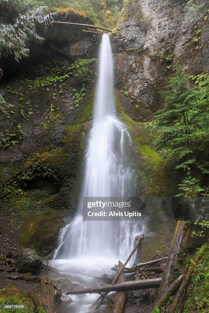 Marymere Falls in Olympic NP, Washington