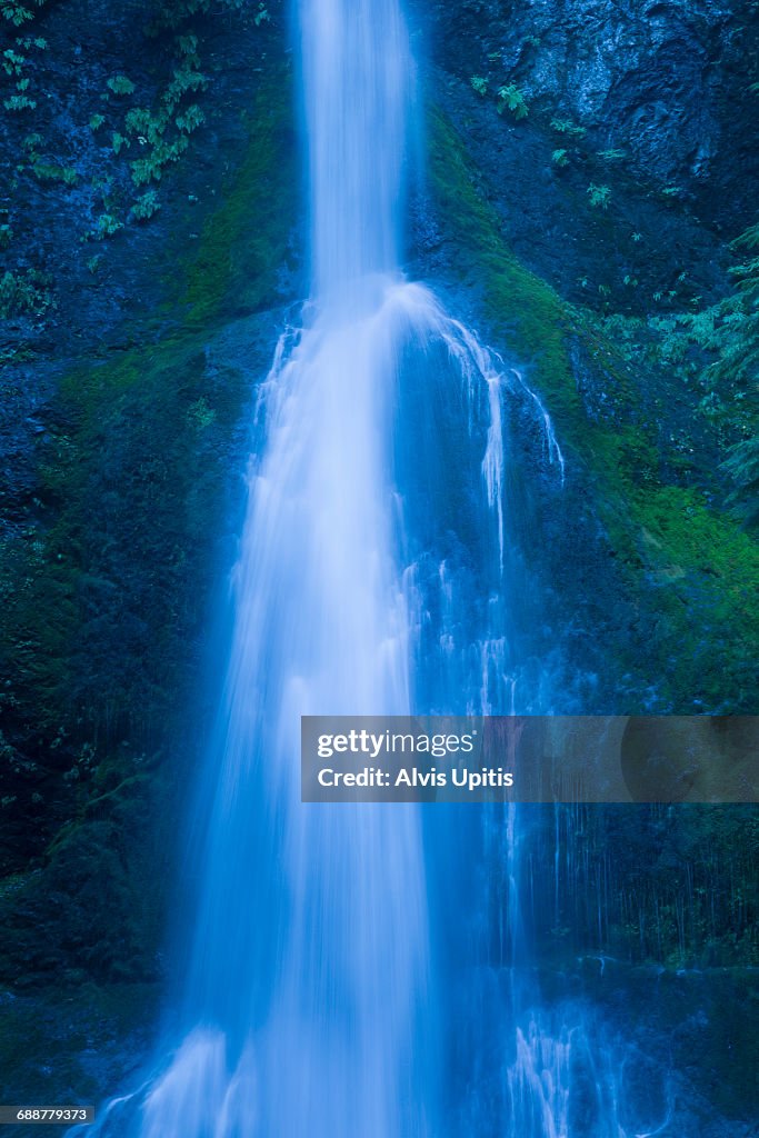 Marymere Falls in Olympic NP, Washington