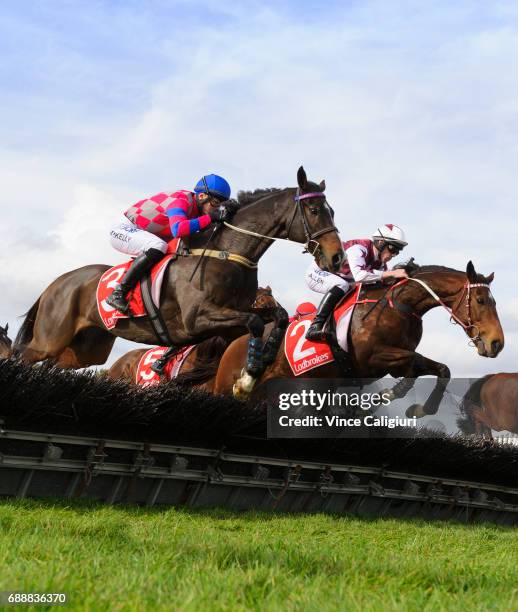 John Allen riding Renew jumping before defeating Martin Kelly riding Urban Explorer in Race 4, The Australian Hurdle during Melbourne Racing at...