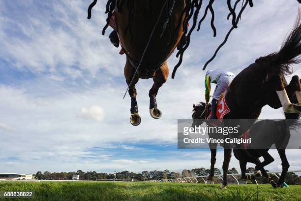 Zed Em, John Allen riding Now and Zen and Lucky Tonight clear the second last steeple in Race 3, The Australian Steeplechase during Melbourne Racing...