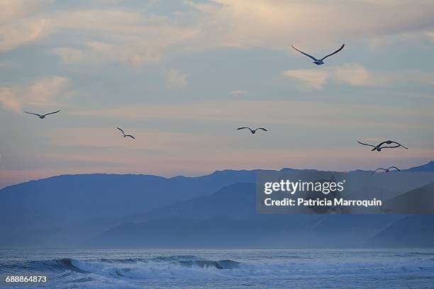 beach storms - oxnard stock pictures, royalty-free photos & images