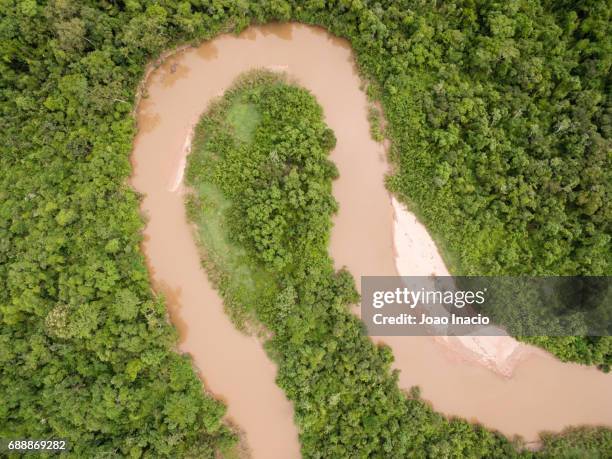 aerial view of the red river (rio vermelho), goias, brazil - vermelho stock pictures, royalty-free photos & images