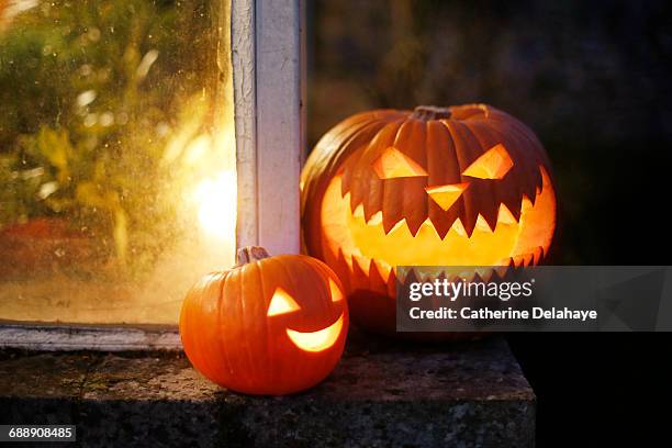 still life of halloween pumpkins - jack o lantern stock-fotos und bilder