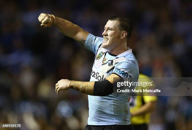 Paul Gallen of the Sharks celebrates victory in the round 12 NRL match between the Cronulla Sharks and the Canterbury Bulldogs at Southern Cross...