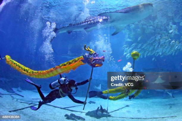 Divers rehearse dragon dance in the water to celebrate the Dragon Boat Festival at Haichang Ocean Park on May 27, 2017 in Yantai, Shandong Province...