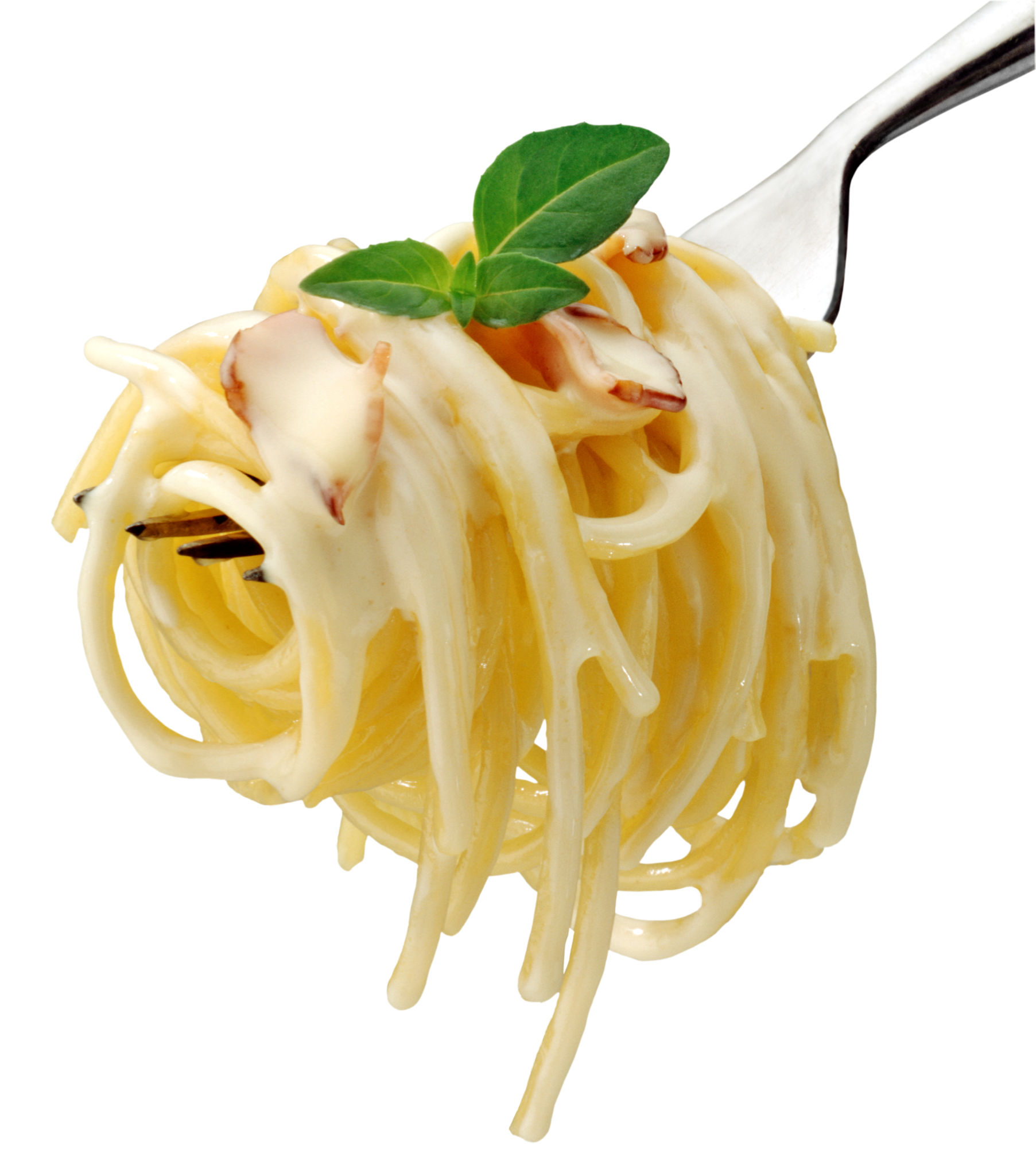 creamy pasta