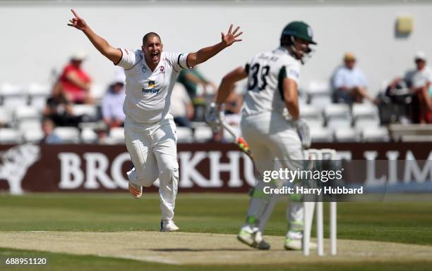 Rory Kleinveldt of Northamptonshire appeals unsuccessfully during the Specsavers County Championship division two match between Northamptonshire and...