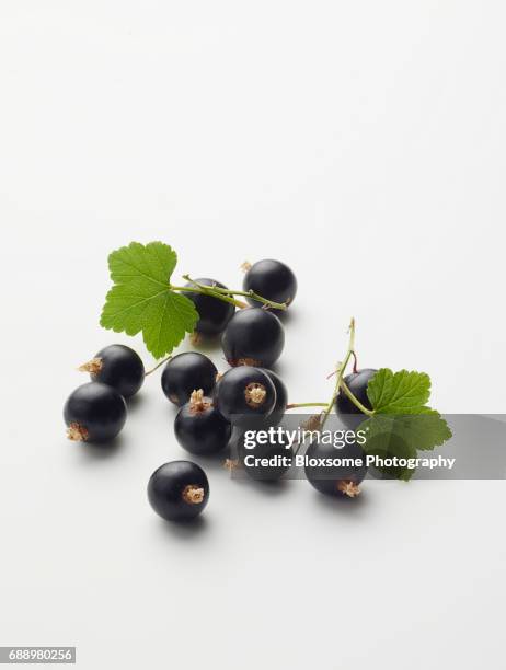 blackcurrants - casis fotografías e imágenes de stock