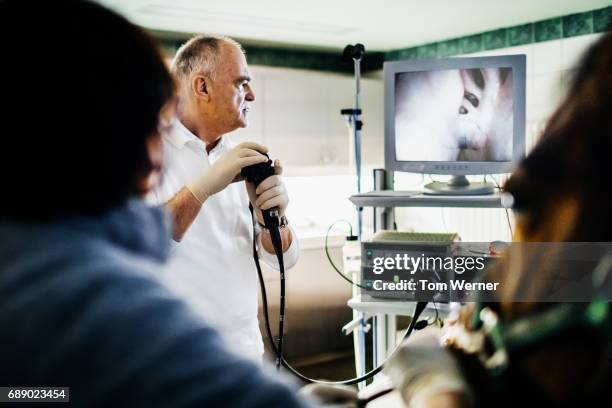 mature veterinarian using endoscope - endoscope stock pictures, royalty-free photos & images