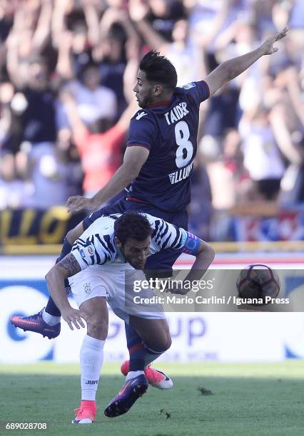 Saphir Taider of Bologna FC competes the ball with Claudio Marchisio of Juventus FC during the Serie A match between Bologna FC and Juventus FC at...