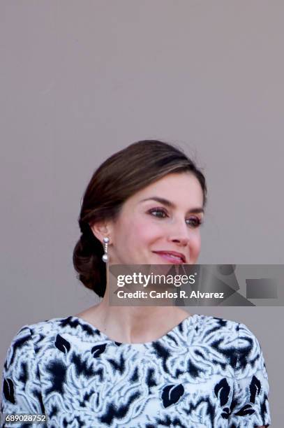 Queen Letizia of Spain attends the Armed Forces Day on May 27, 2017 in Guadalajara, Spain.