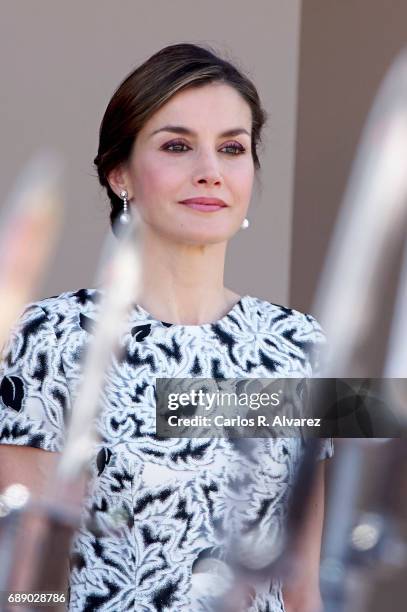 Queen Letizia of Spain attends the Armed Forces Day on May 27, 2017 in Guadalajara, Spain.