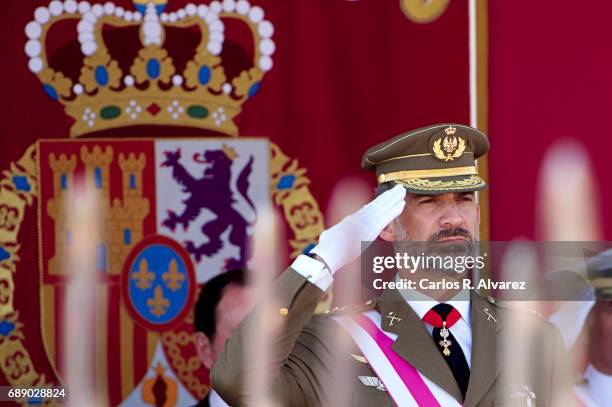 King Felipe VI of Spain attends the Armed Forces Day on May 27, 2017 in Guadalajara, Spain.