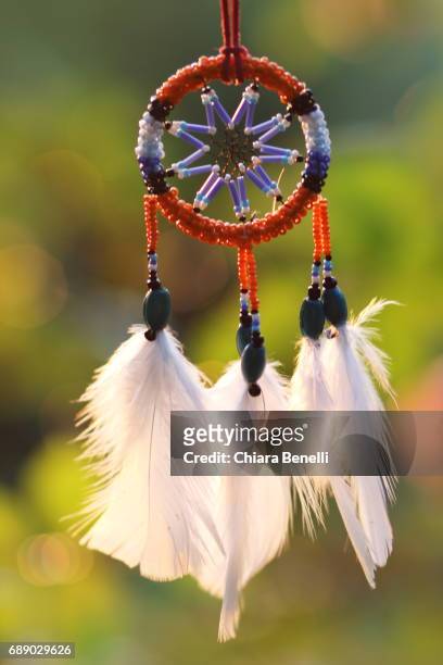 dreamcatcher in nature - controluce stock pictures, royalty-free photos & images