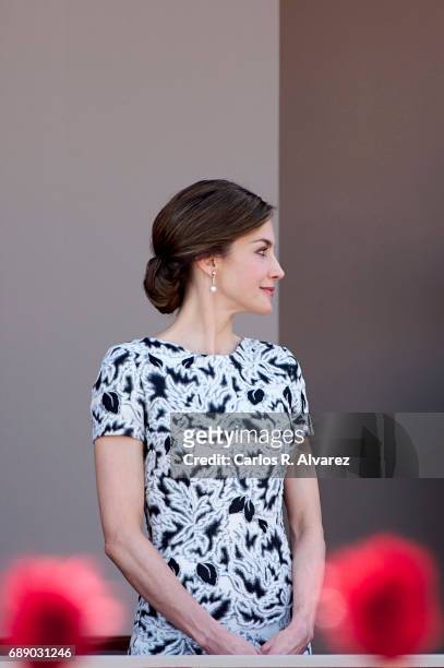 Queen Letizia of Spain attends the Armed Forces Day on May 27, 2017 in Guadalajara, Spain.