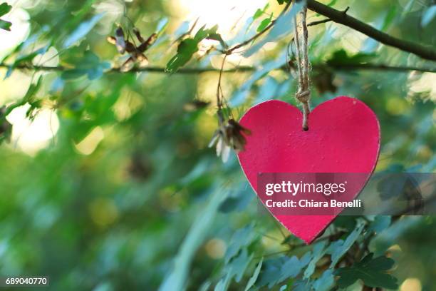 heart - simbolo di cuore stockfoto's en -beelden