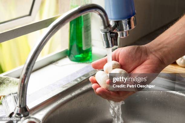 Chicken Rinse Rinse Chicken Photos and Premium High Res Pictures - Getty Images