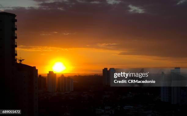 the power and beauty of the sun. - crmacedonio imagens e fotografias de stock