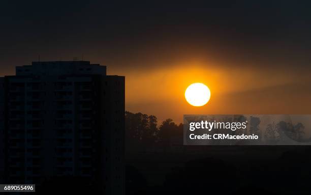 the power and beauty of the sun. - outono ストックフォトと画像