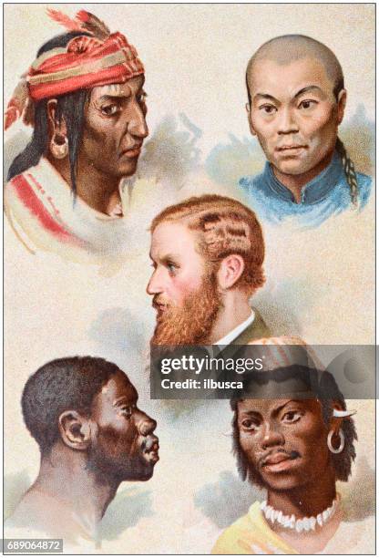 antique colored illustrations: ethnicities: american indian, mongolian, caucasian, ethiopian, malay - mongolian ethnicity stock illustrations