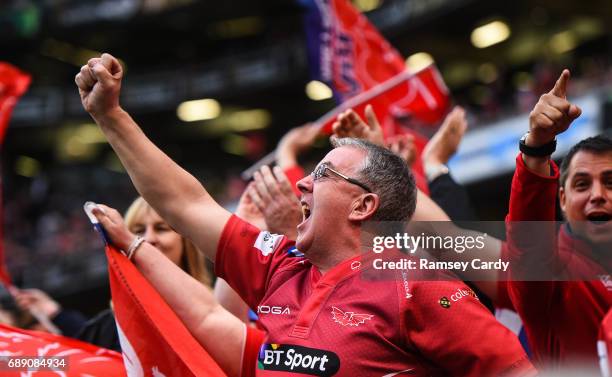 Dublin , Ireland - 27 May 2017; Scarlets supporters celebrate a try during the Guinness PRO12 Final between Munster and Scarlets at the Aviva Stadium...