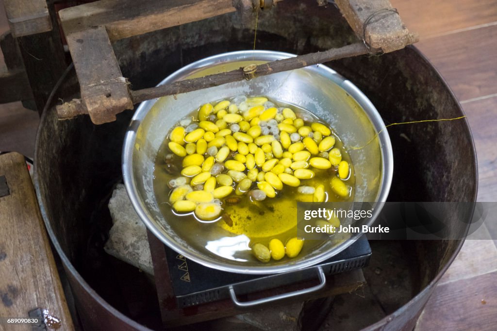 Making Silk in Vietnam