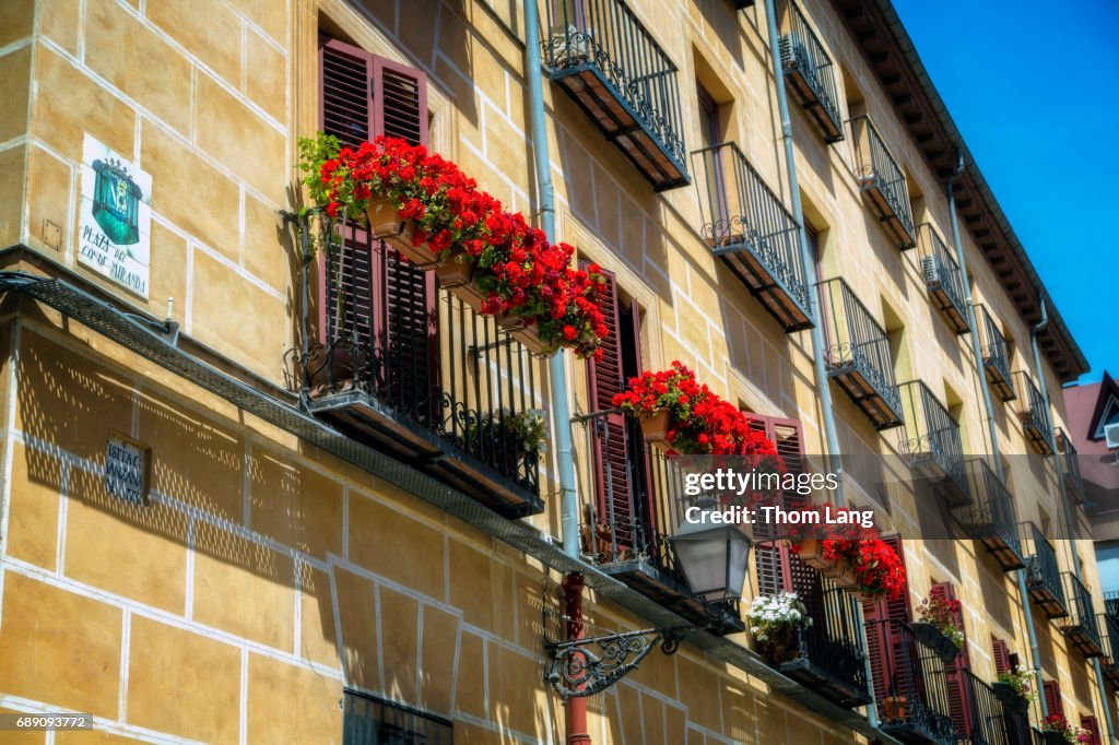 Flowering Window Boxes, Madrid, Spain