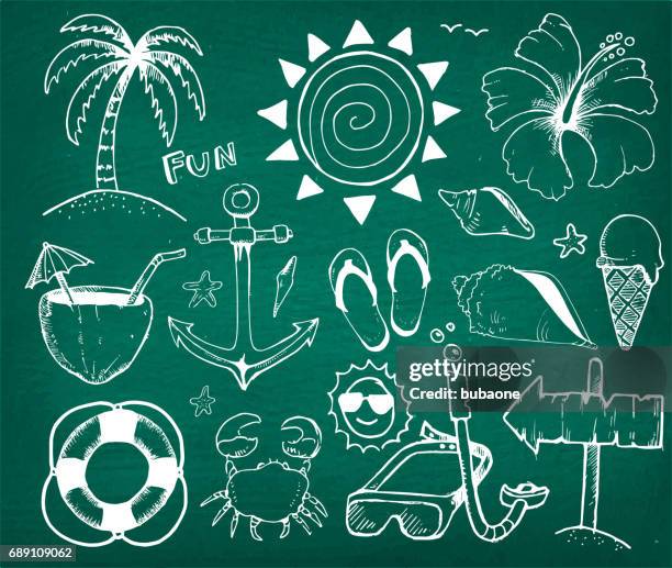 beach and summer vector hand drawings on green chalk board - beach shell texture stock illustrations