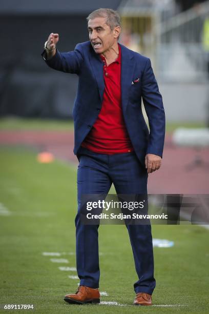 Head coach Bosko Djurovski in action during the final match of Serbian Cup between Fc Partizan and Fc Crvena Zvezda on May 27, 2017 in Belgrade,...