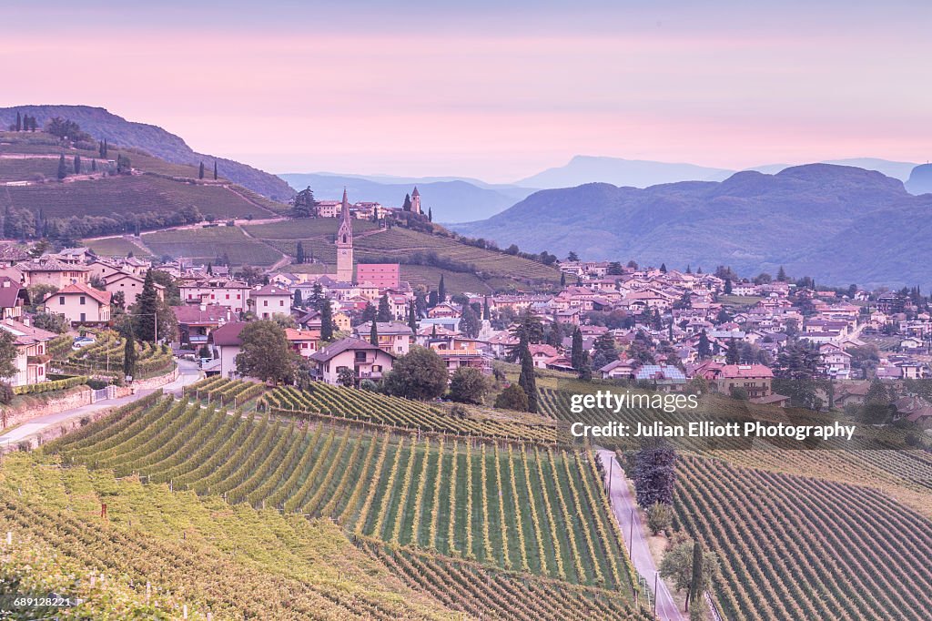 Vineyards in the village of Termeno, Italy.