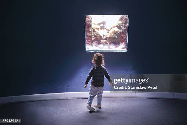 small girl looking at aquarium - virtualitytrend stockfoto's en -beelden