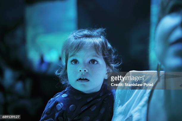 girl on mother shoulders admiring exhibition - awe stock pictures, royalty-free photos & images