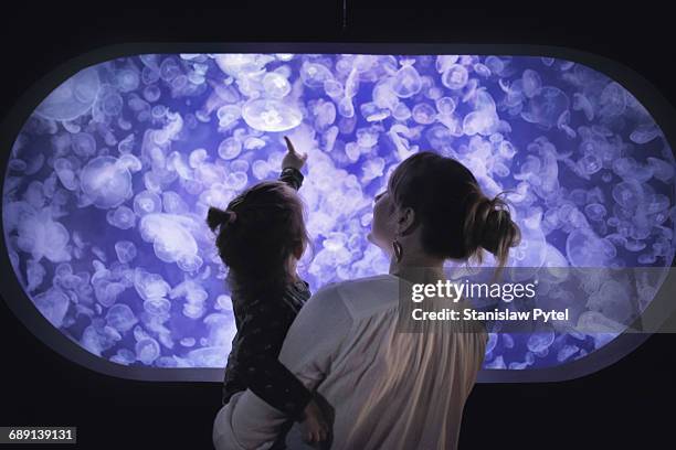 mother with daughter looking at jellyfish aquaium - animal captivity building stock-fotos und bilder