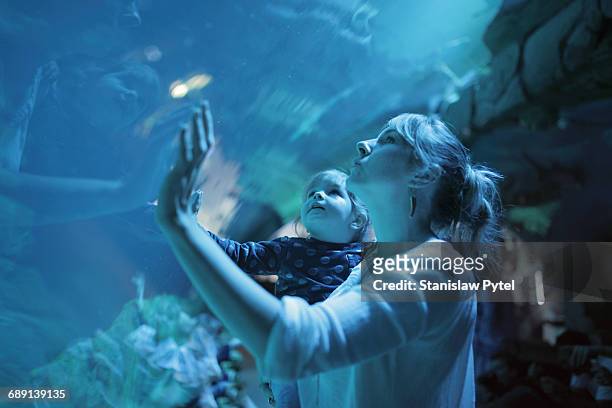 girl on mother shoulders admiring aquarium - acuario fotografías e imágenes de stock