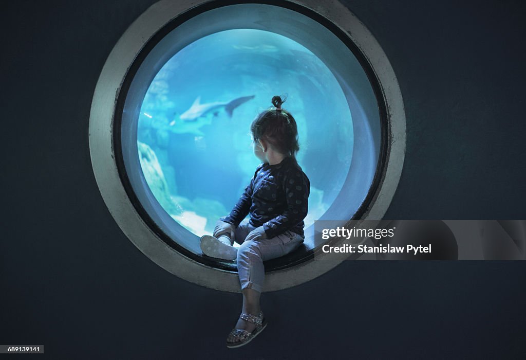 Small girl looking at window in aquarium