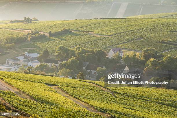 the village of chavignol near sancerre. - loire valley stock pictures, royalty-free photos & images