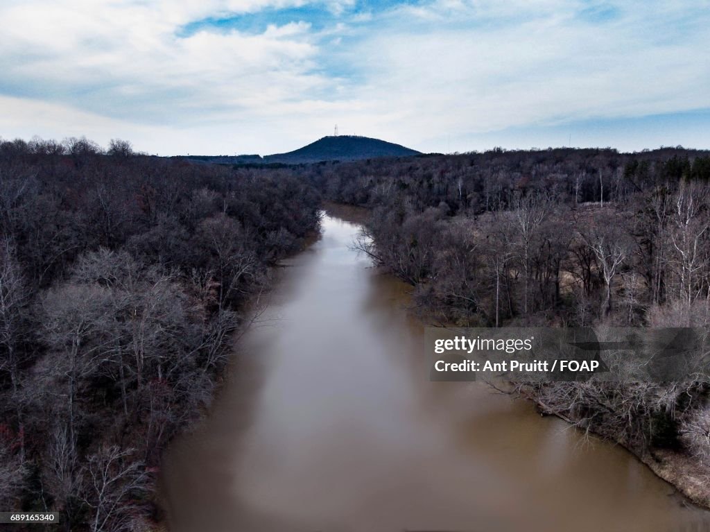 River flowing through forest