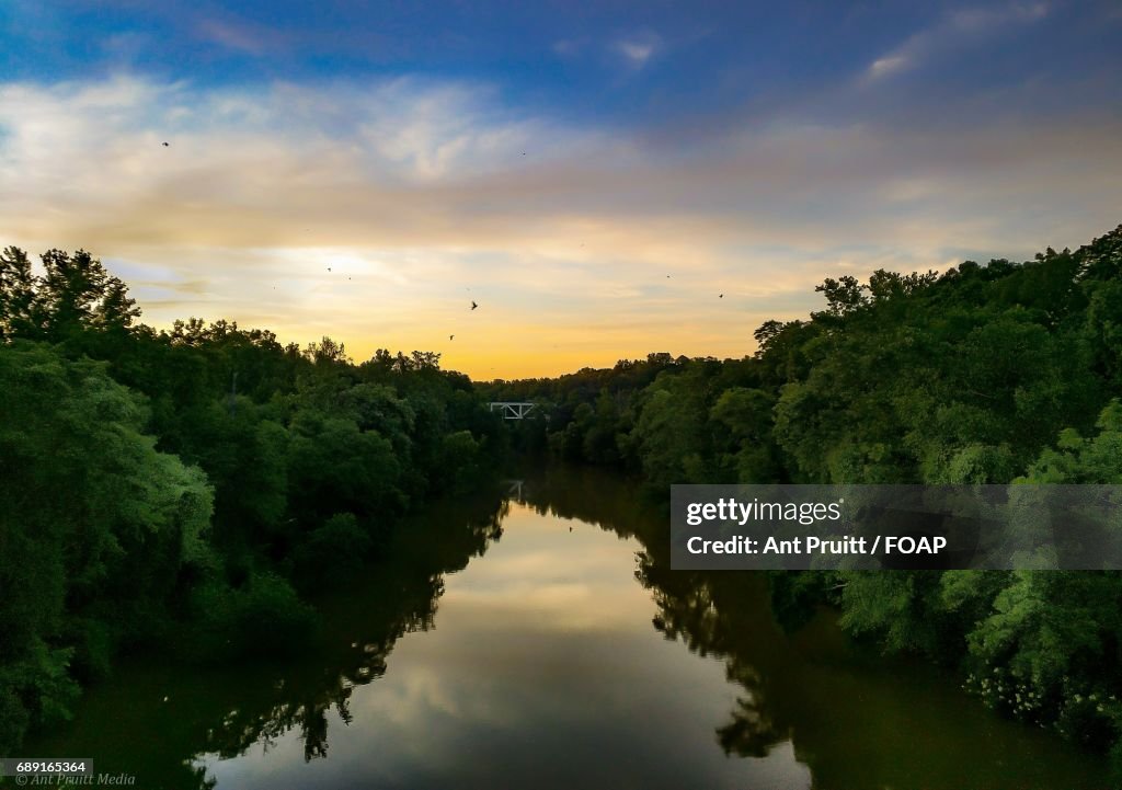 View of birds flying in sky during sunset