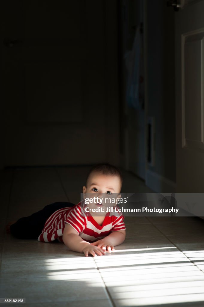 12 Month Old Baby Crawls In Sunlight