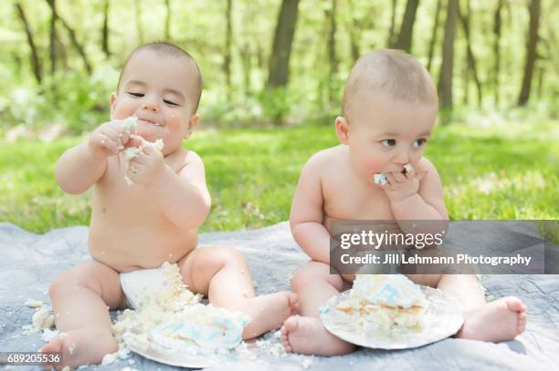 fraternal twins celebrate first birthday with cake smash - smash cake stockfoto's en -beelden