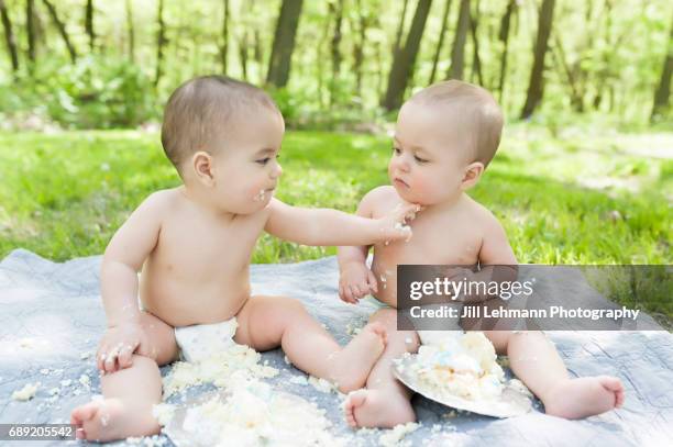 fraternal twins celebrate first birthday with cake smash - smash cake stockfoto's en -beelden