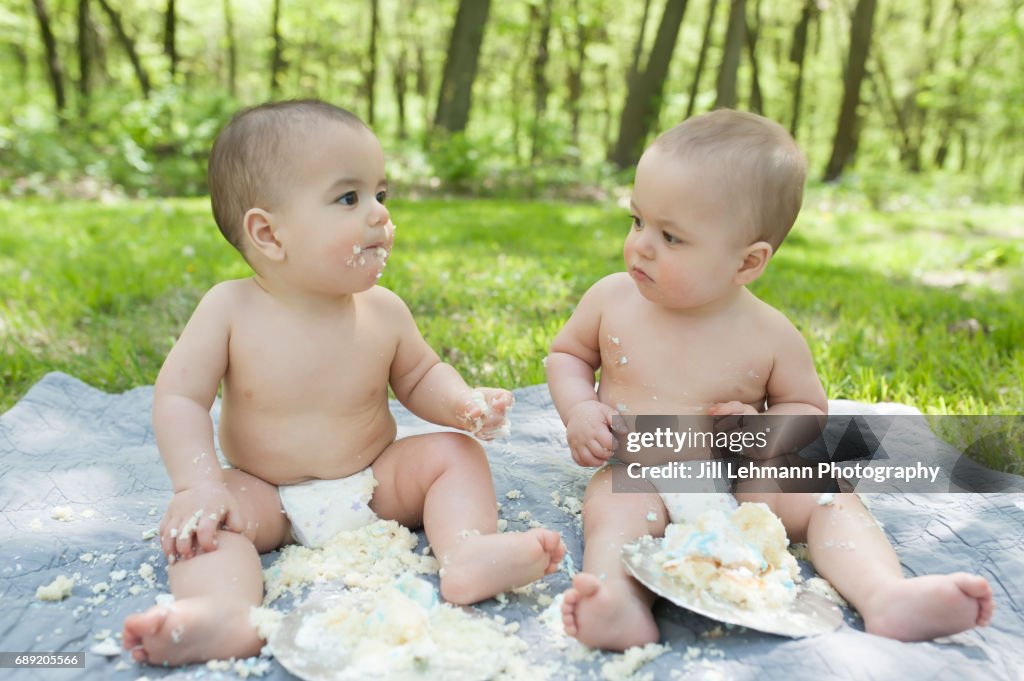 Fraternal Twins Celebrate First Birthday with Cake Smash