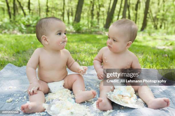 fraternal twins celebrate first birthday with cake smash - demolished cake stock pictures, royalty-free photos & images