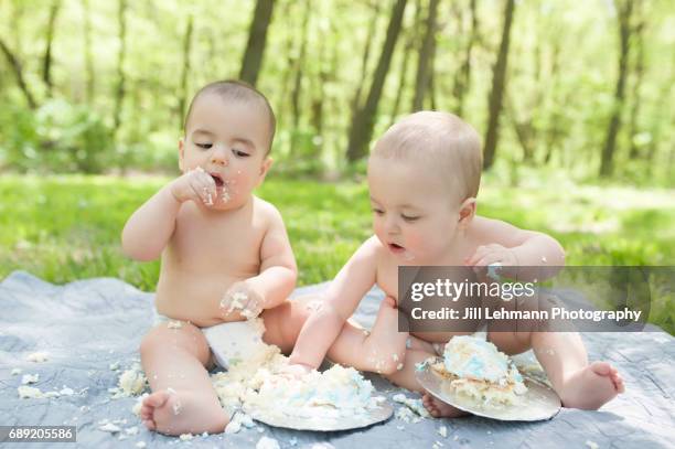 fraternal twins celebrate first birthday with cake smash - smash cake stockfoto's en -beelden