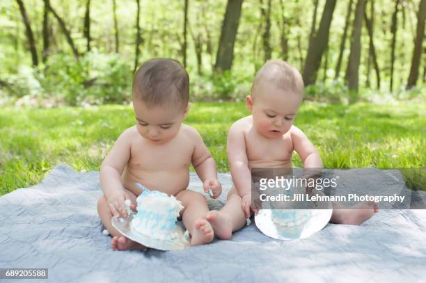 fraternal twins celebrate first birthday with cake smash - cake smashing stock pictures, royalty-free photos & images