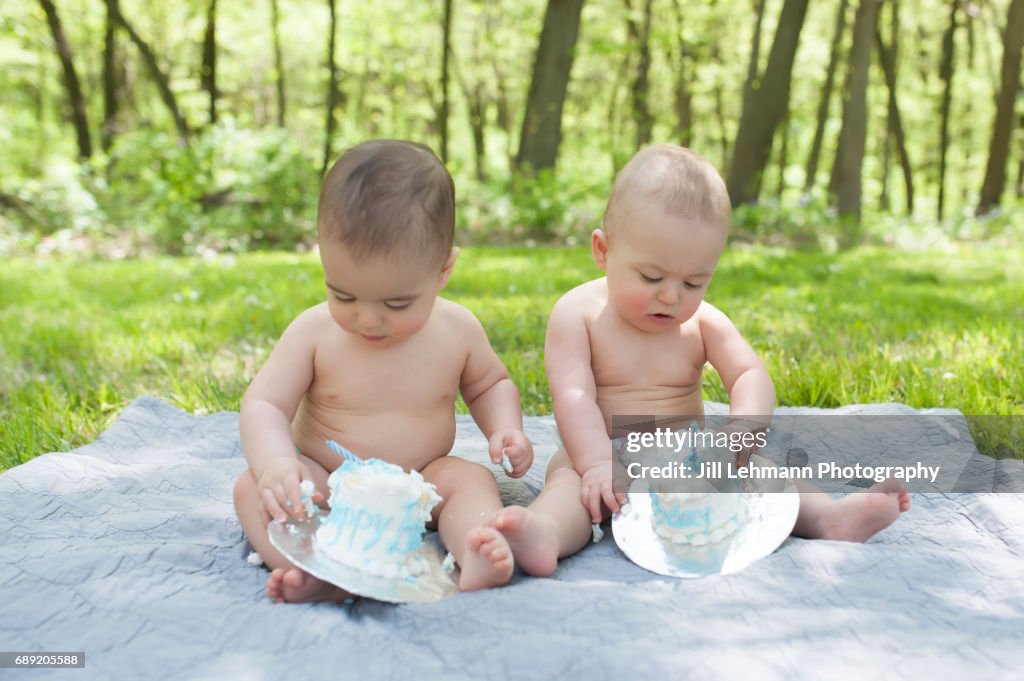 Fraternal Twins Celebrate First Birthday with Cake Smash