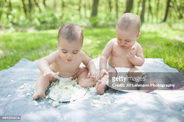 fraternal twins celebrate first birthday with cake smash - smash cake stock pictures, royalty-free photos & images