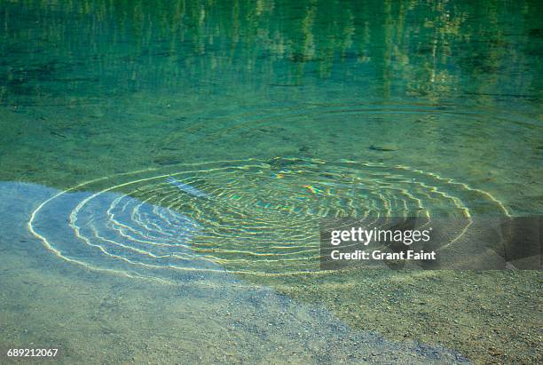 ripple. - water ripple stockfoto's en -beelden