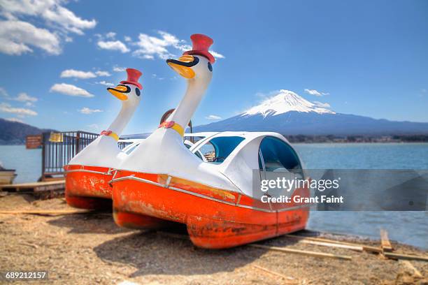 odd ducks. - pedal boat photos et images de collection